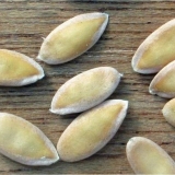 Kako klijati sjeme dinje